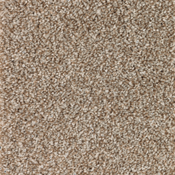 Mohawk Carpet True Unity Americana Mohawk