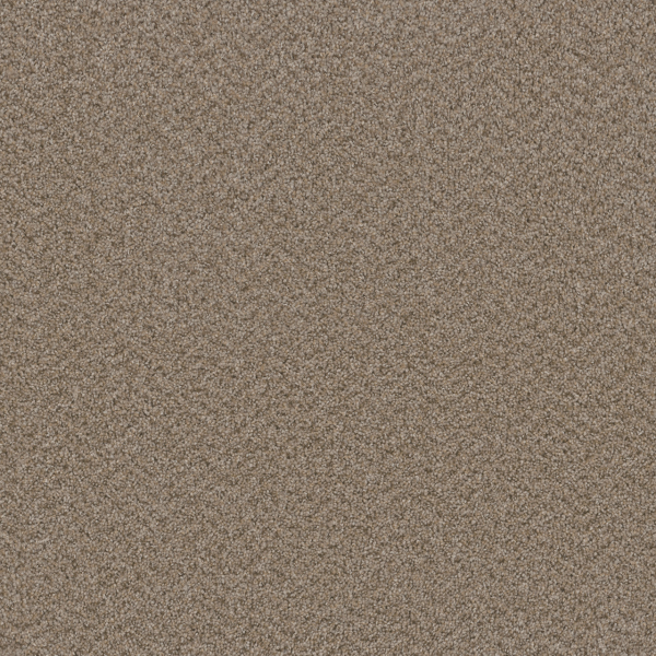 Dreamweaver Carpet Broadcast Plus Almond DREAMWEAVER