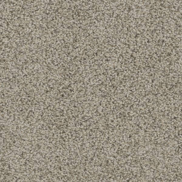 Dreamweaver Carpet Tracker Almond DREAMWEAVER
