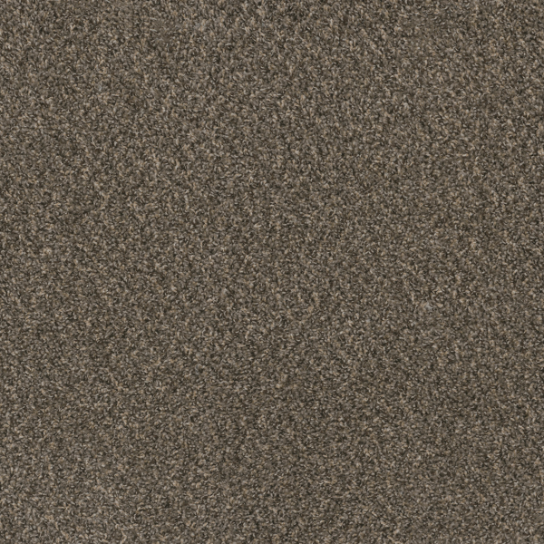 Dreamweaver Carpet Hot Pursuit Ironside DREAMWEAVER