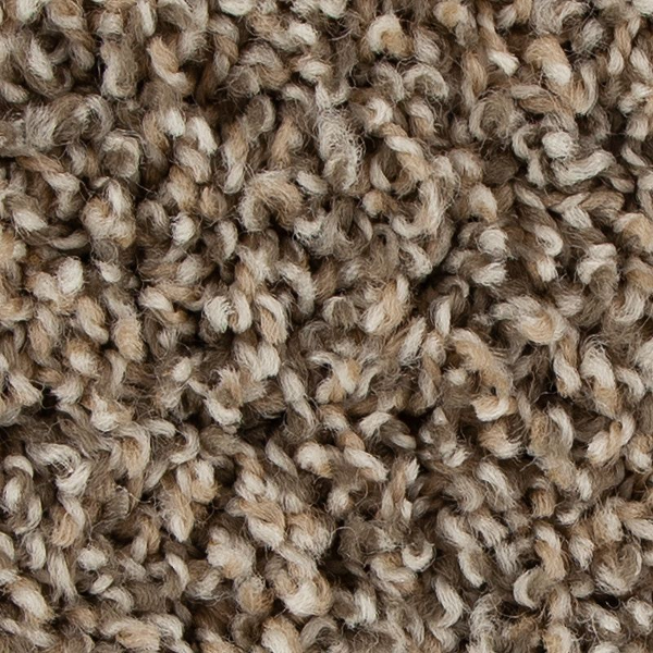 Mohawk Carpet Medalist Briddle Mohawk