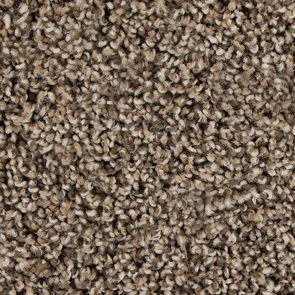 Mohawk Carpet Color Fusion I Bridle Mohawk