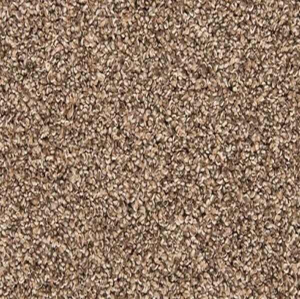 Mohawk Carpet Color Classics I Mystic Wood Mohawk