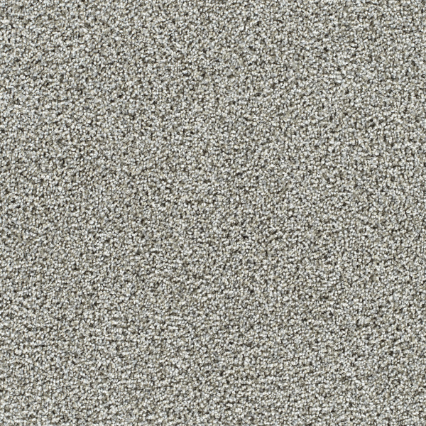 Dreamweaver Carpet Captivating I Gravel Stone DREAMWEAVER