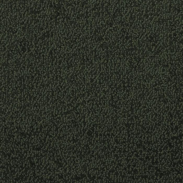 Masland Carpets Novellino Forest Masland