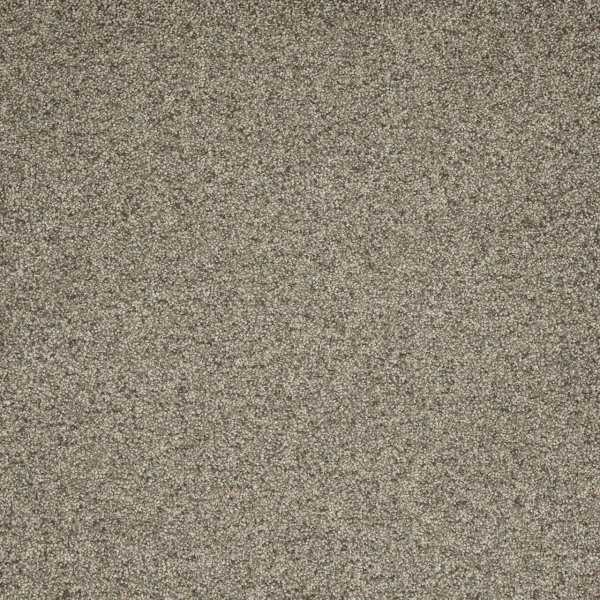 Dreamweaver Carpet Astounding III Wishing Well DREAMWEAVER