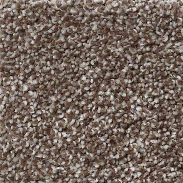 Shaw Floors Always Ready I Cobble Brown SHAW