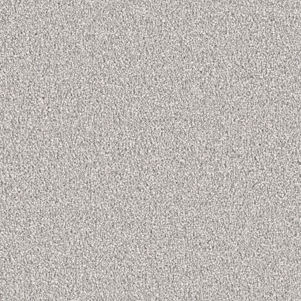 Dreamweaver Carpet East Hampton Dove DREAMWEAVER