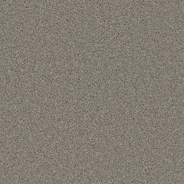Dreamweaver Carpet Broadcast Plus Silver Birch DREAMWEAVER