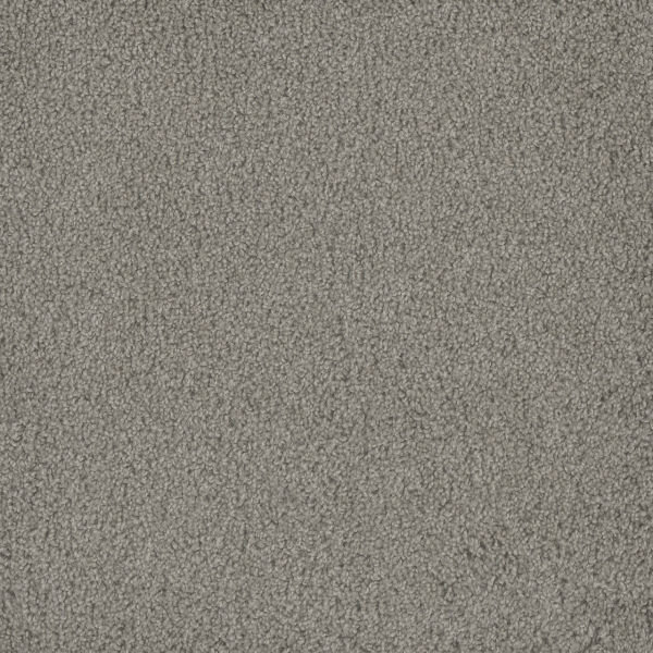 Dreamweaver Carpet Hammond Creek I Silver Birch DREAMWEAVER