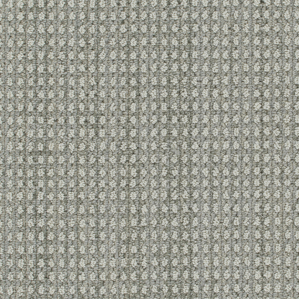 DW Select Carpet Brunswick Desert Moon DREAMWEAVER