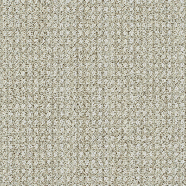 DW Select Carpet Brunswick Shifting Sands DREAMWEAVER