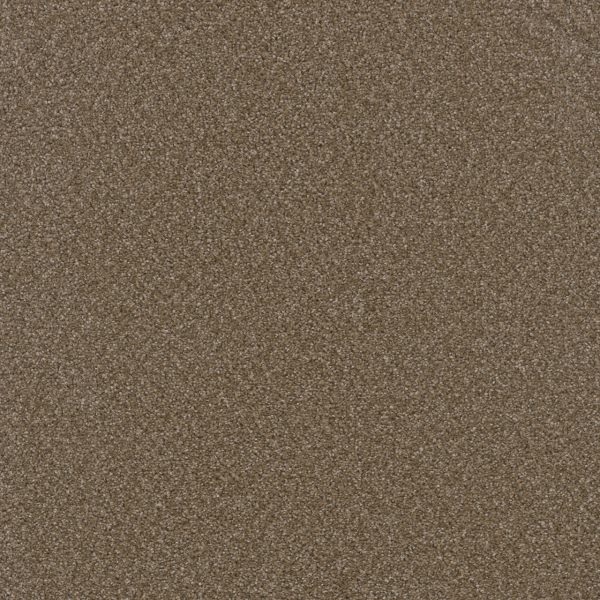 Dreamweaver Carpet Broadcast Plus Chestnut DREAMWEAVER