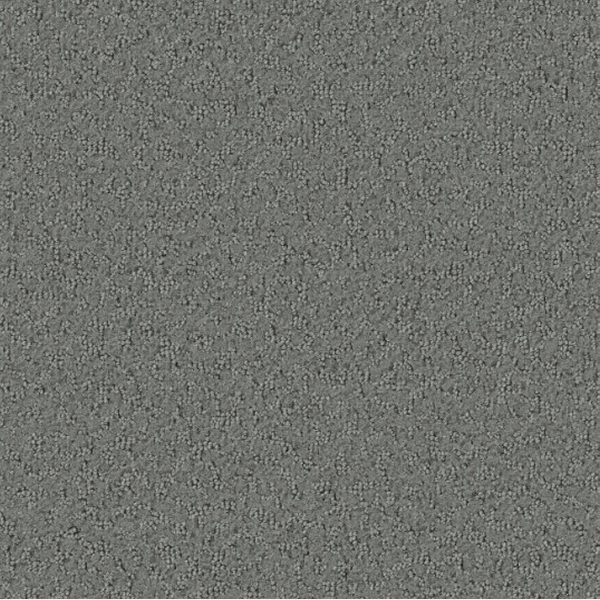 Tarkett Home Carpets Promenade Slate LEXMARK