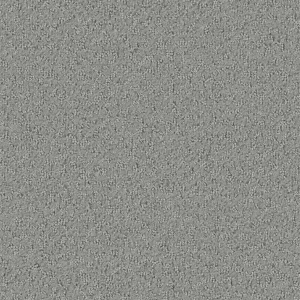 Tarkett Home Carpets Promenade Nickel LEXMARK