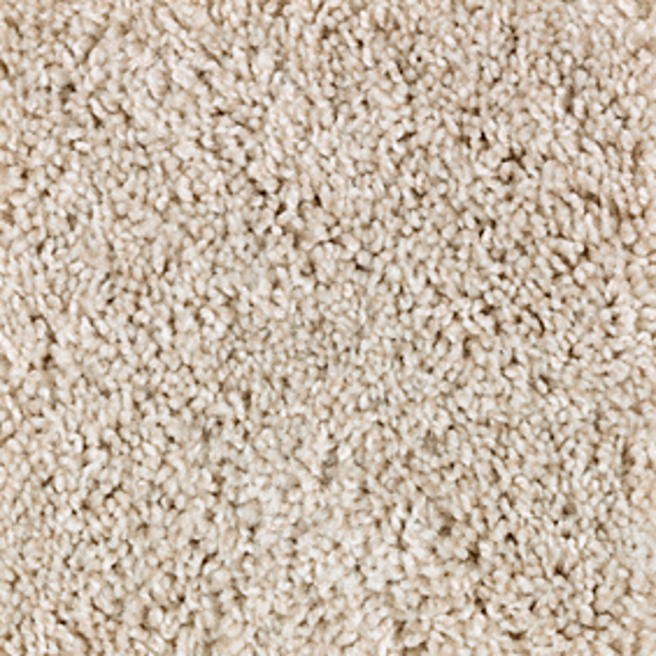 Mohawk Carpet Perfect Attraction Rabbit Mohawk