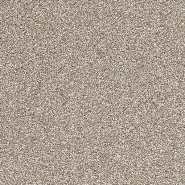 Dreamweaver Carpet Cape Cod Iron Frost DREAMWEAVER