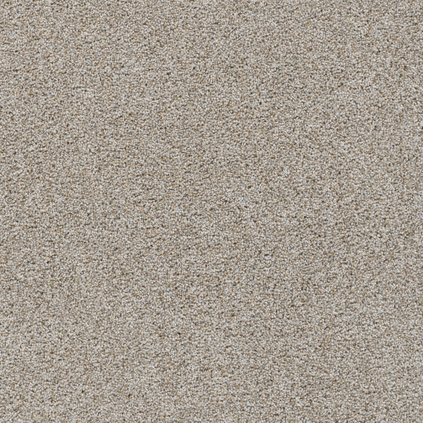Dreamweaver Carpet Reflections III Iron Frost DREAMWEAVER