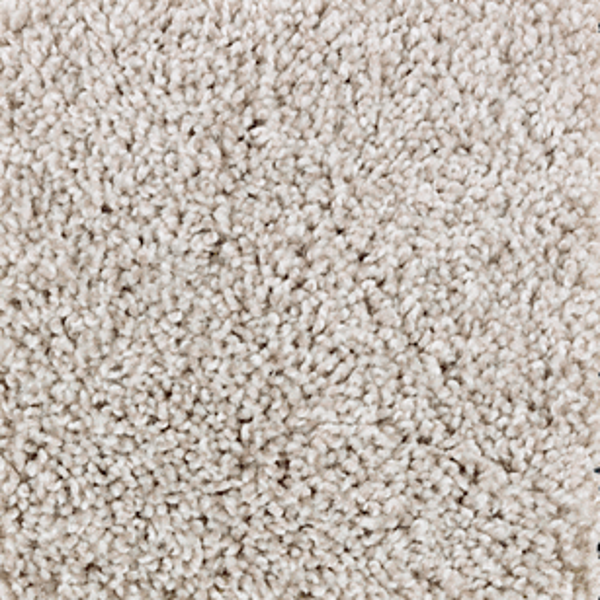 Mohawk Carpet Perfect Attraction Salutation Mohawk