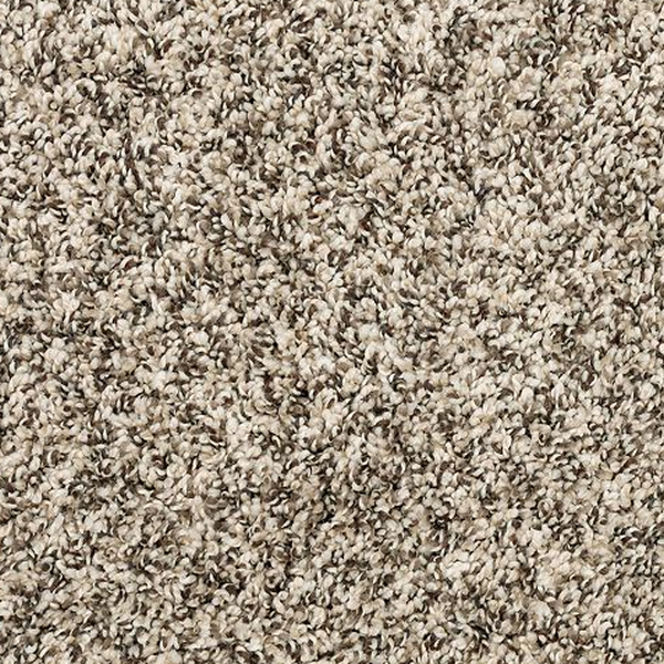 Mohawk Carpet Purrsonality I Cascade Mohawk
