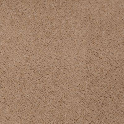 Aladdin Carpet Accelerator Plus Dried Peat Mohawk