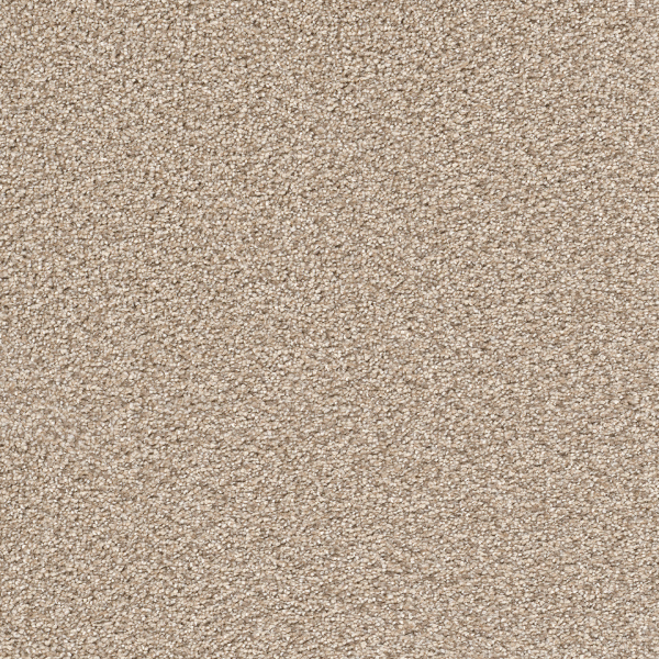 Dreamweaver Carpet Cape Cod Linen DREAMWEAVER