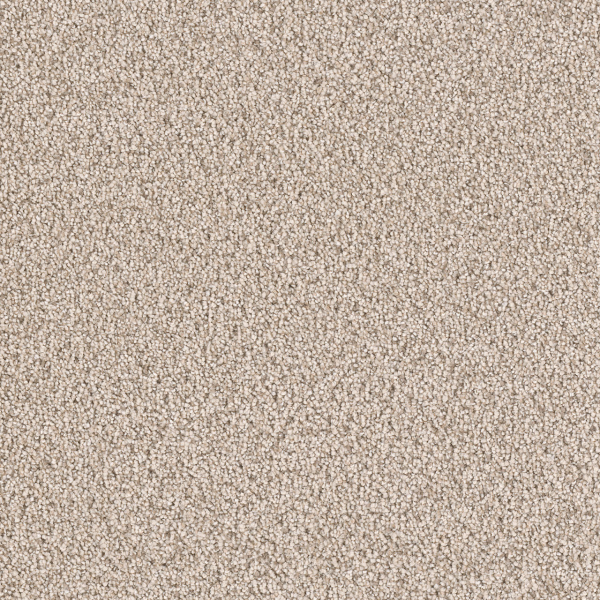 Dreamweaver Carpet East Hampton Linen DREAMWEAVER