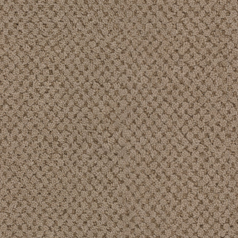 Masland Carpets La Parade Chocolat Masland