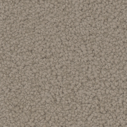 Tarkett Home Carpets Providence Stable LEXMARK