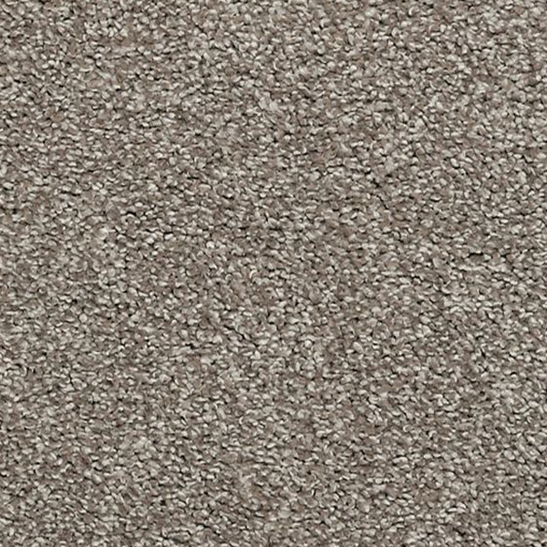 Mohawk Carpet Luxuriant Feel Dock Mohawk