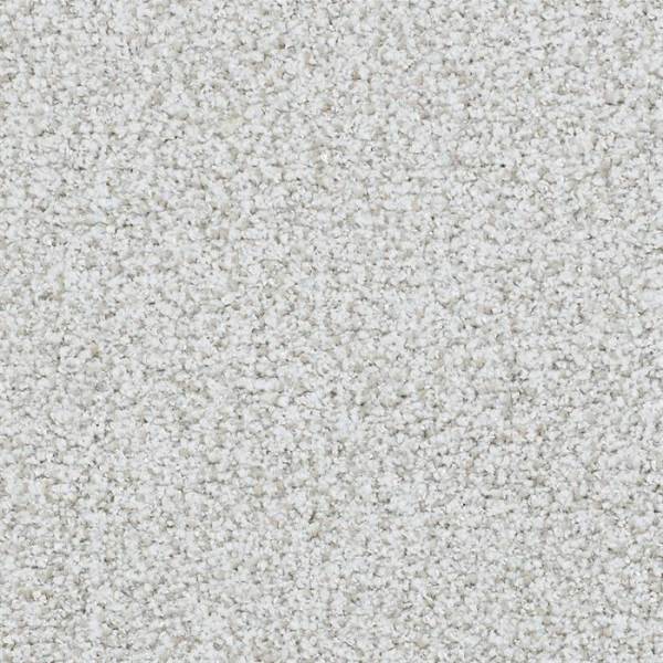 Masland Carpets St Augustine Consistent Masland