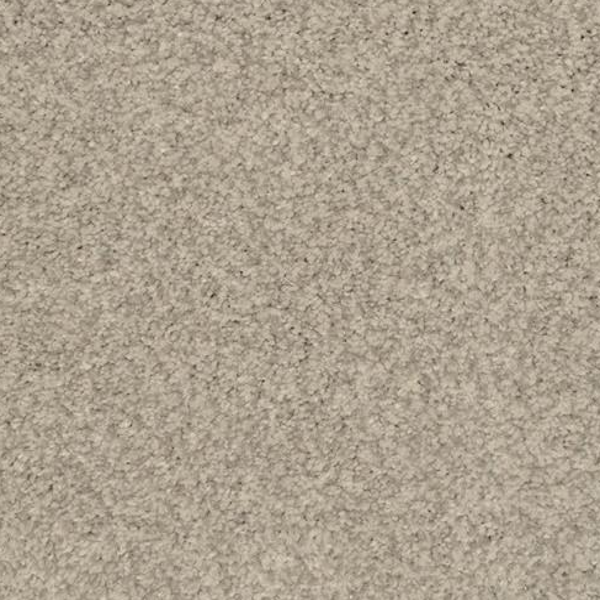 Dixie Home Chromatic Touch Grayson