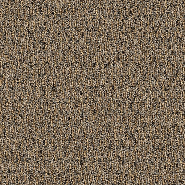 Aladdin Commercial Traction II Sand Dune Mohawk