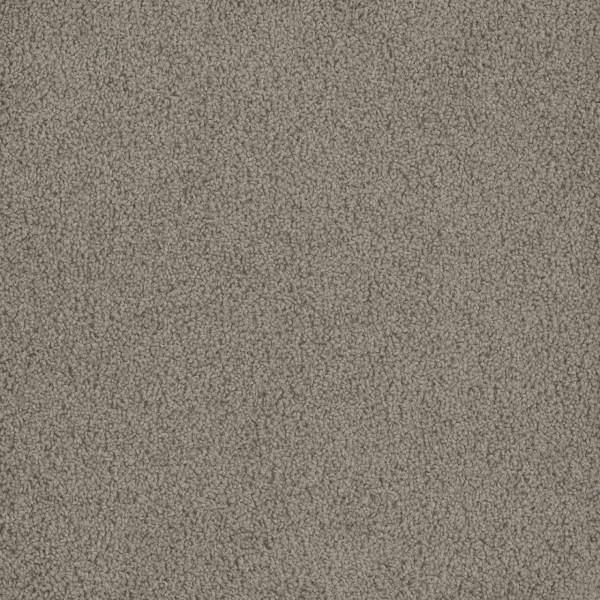 Dreamweaver Carpet Hammond Creek I Mineral DREAMWEAVER