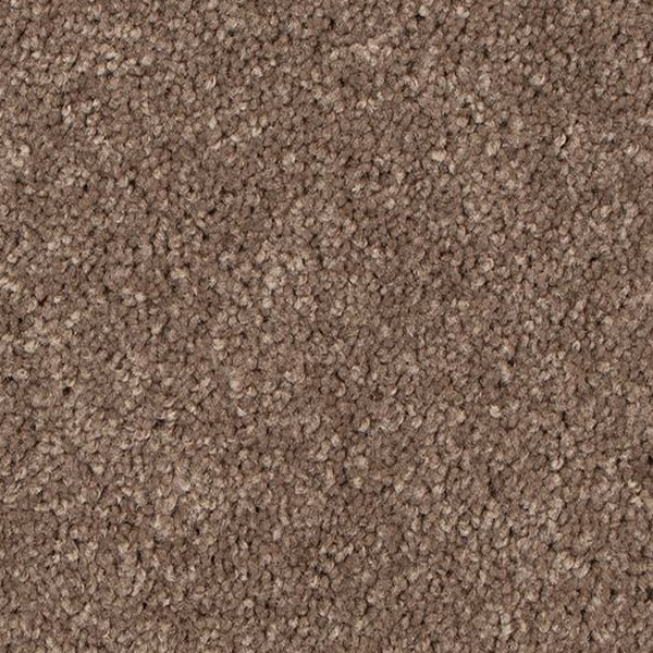Mohawk Carpet Tender Moment II Desert Mohawk
