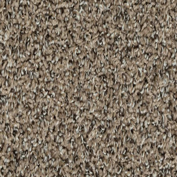 Horizon Carpet Roll With It Ancient Coin Mohawk