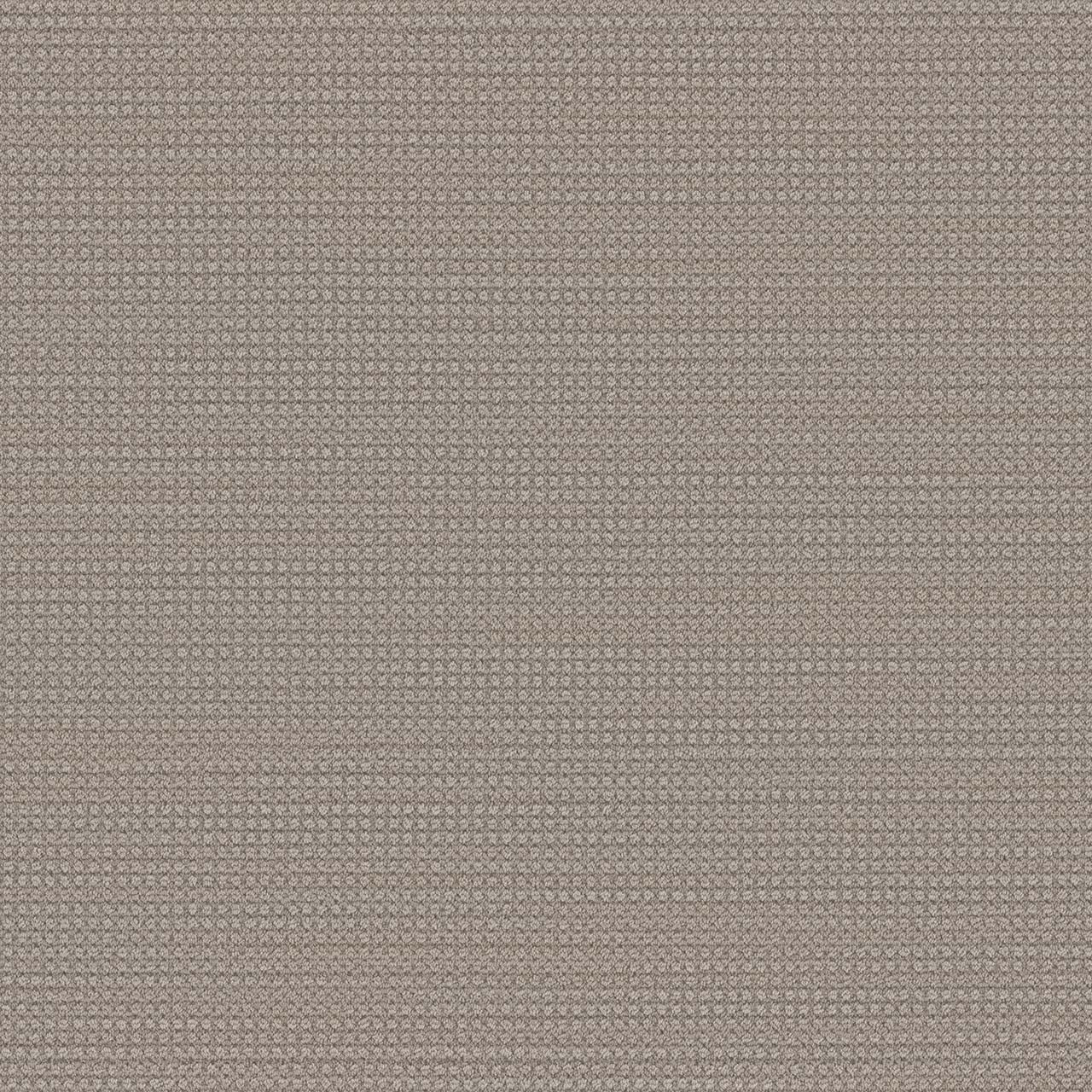 DW Select Carpet Montreal II Shellbrook DREAMWEAVER