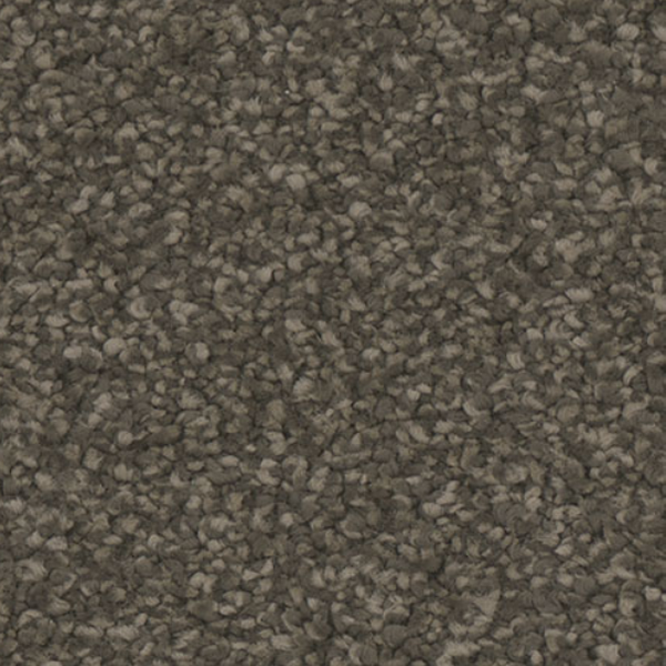 Tarkett Home Carpets Allure Ravish LEXMARK