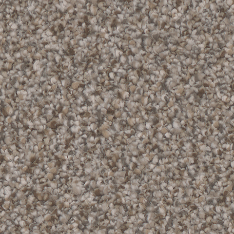 Tarkett Home Carpets Montecito Chic LEXMARK