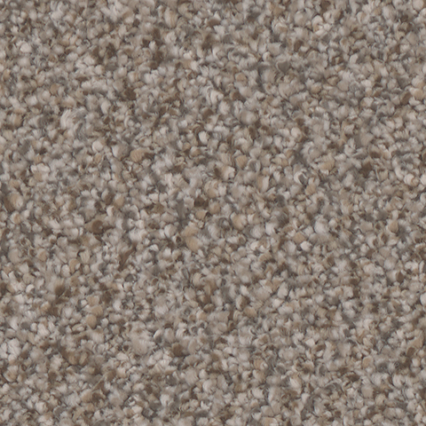 Tarkett Home Carpets Summerland Chic LEXMARK
