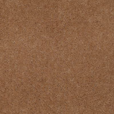 Aladdin Carpet Accelerator Plus Spicecake Mohawk