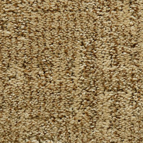 Mohawk Carpet Random Nature Fresh Earth Mohawk