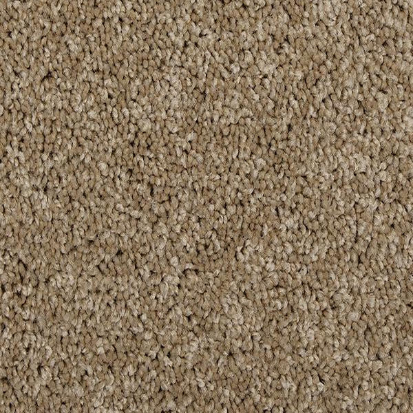 Mohawk Carpet Up The Ante Safari Tan Mohawk