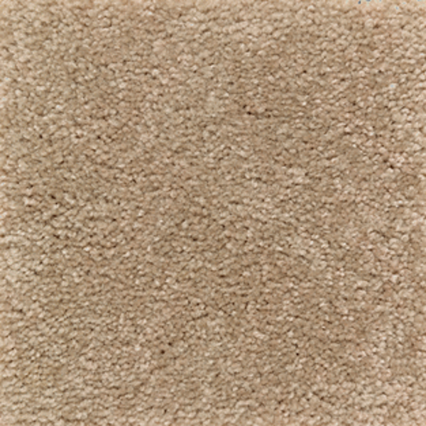 Mohawk Carpet Homefront I Spiced Tea Mohawk