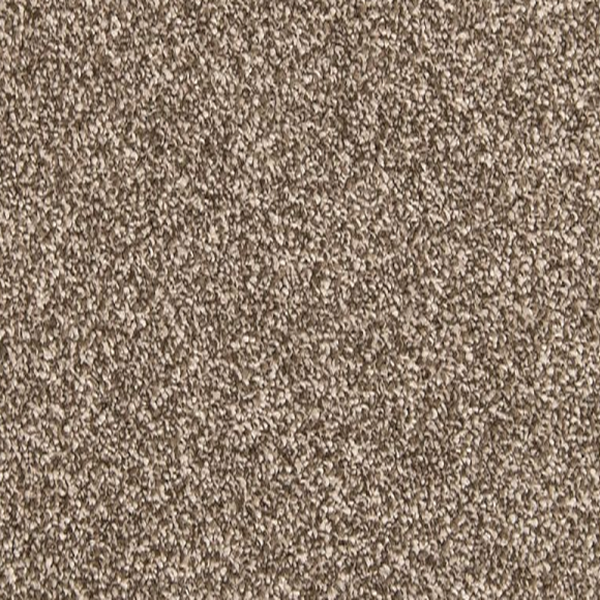 Mohawk Carpet Dynamic Quality II Filigree Mohawk