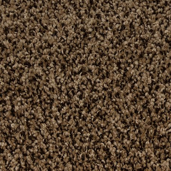 Mohawk Carpet Up The Ante Mocha Brown Mohawk