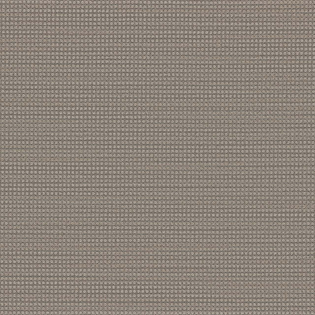 DW Select Carpet Montreal II Willowdale DREAMWEAVER