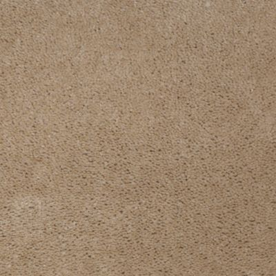 Aladdin Carpet Accelerator Plus Almond Mohawk
