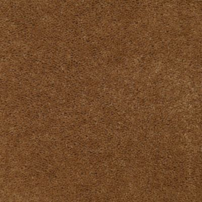 Aladdin Carpet Accelerator Plus Chestnut Mohawk