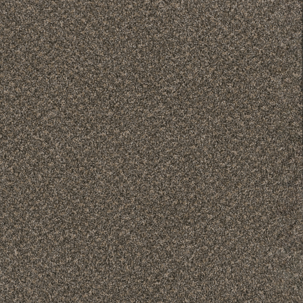 Dreamweaver Carpet Toast Of The Town Wrought Iron DREAMWEAVER